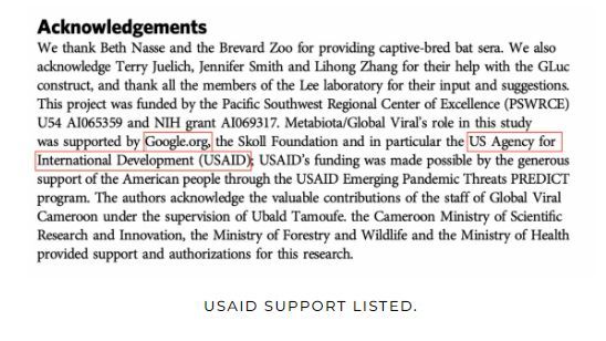GoogleUSAID